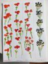 4 marque ta page fleurs 240417