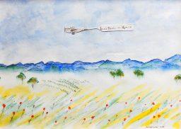 Alsace et avion Charles de Gaulle