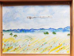 Alsace et avion Charles de Gaulle encadré