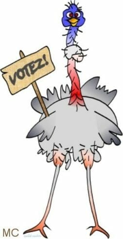 Votez Autruche!