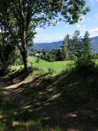 Hohrod chemin 240722 06 PHOTO