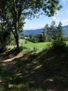 Hohrod chemin 240722 06 PHOTO