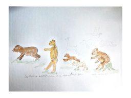 Les ours se suivent mais ne se ressemblent pas