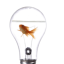 3 ampoules