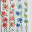 4 marque ta page fleurs 240414