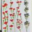 4 marque ta page fleurs 240417