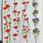 4 marque ta page fleurs 240417