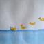Canards 5 SOS