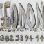 Theodonis