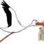 bière de cigogne