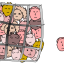 cage à poules