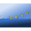canards bouées