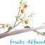 fruits défendus - oranges