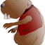 hamster arsca