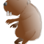 hamster nu