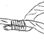 corde de pendu