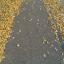 trottoir d'automne