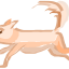 zanimo écureuil