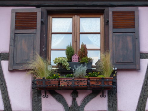 jardin de fenêtre