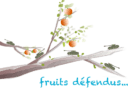 fruits défendus - oranges