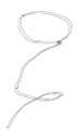 lasso