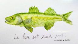 le bar est tout vert