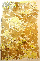 ombres de figuier