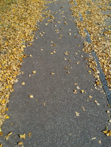 trottoir d'automne