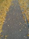 trottoir d'automne