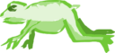 zanimo crapaud