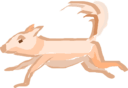 zanimo écureuil